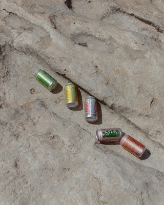 Mayawell Prebiotic Soda Cans on Rocks